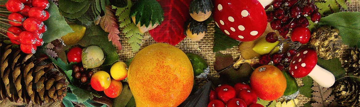 podzimní koláž 1170x350